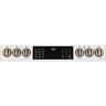 E-RANGE-INDUCTION-DOUBLE-OVEN-MATTE-WHITE-CCHS900P4MW2-CAFE-CONTROL-PANEL-ON.jpg_96Wx96H E-RANGE-INDUCTION-DOUBLE-OVEN-MATTE-WHITE-CCHS900P4MW2-CAFE-CONTROL-PANEL-ON.jpg